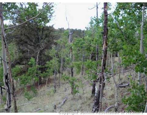 1115 Osprey Rd, Como, CO 80432 photo 11
