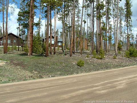 143 Elk Thistle Dr, Silverthorne, CO 80499 photo 16