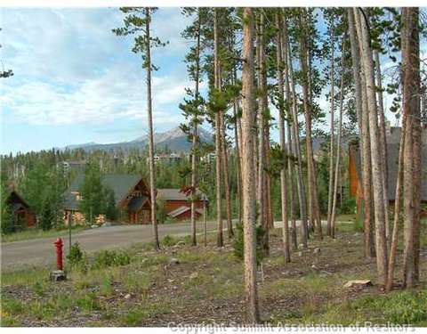 143 Elk Thistle Dr, Silverthorne, CO 80499 photo 7