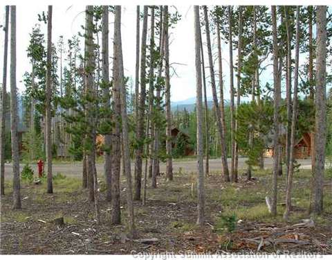 143 Elk Thistle Dr, Silverthorne, CO 80499 photo 5