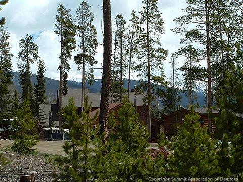 143 Elk Thistle Dr, Silverthorne, CO 80499 photo 13