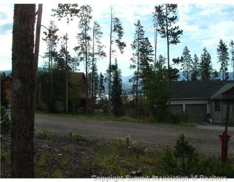 143 Elk Thistle Dr, Silverthorne, CO 80499 photo 11