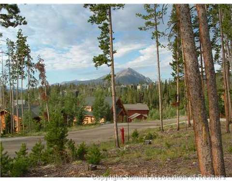 143 Elk Thistle Dr, Silverthorne, CO 80499 photo 6