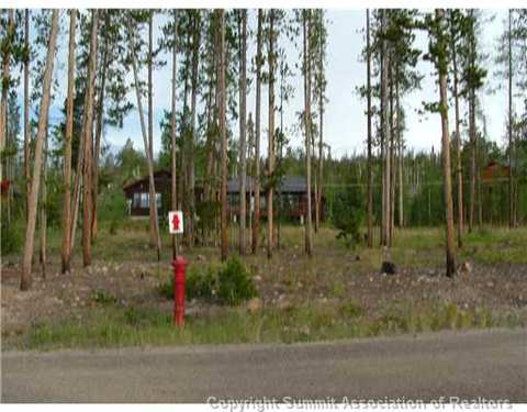 143 Elk Thistle Dr, Silverthorne, CO 80499 photo 9