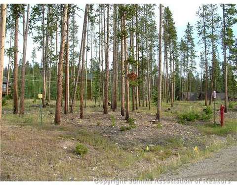 143 Elk Thistle Dr, Silverthorne, CO 80499 photo 10