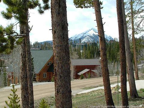 143 Elk Thistle Dr, Silverthorne, CO 80499 photo 15
