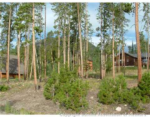 143 Elk Thistle Dr, Silverthorne, CO 80499 photo 8