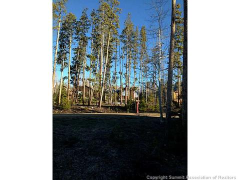 143 Elk Thistle Dr, Silverthorne, CO 80499 photo 3