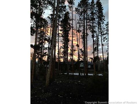 143 Elk Thistle Dr, Silverthorne, CO 80499 photo 1