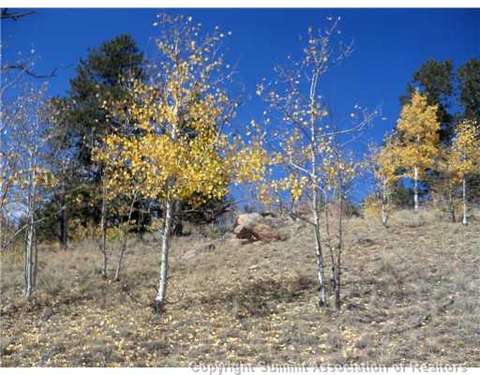 1100 Osprey Rd, Como, CO 80432 photo 8