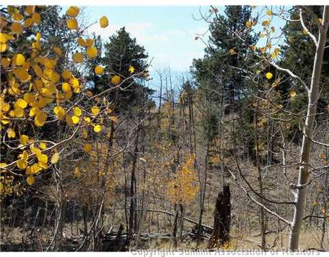 1100 Osprey Rd, Como, CO 80432 photo 7