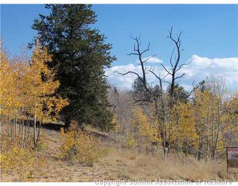 1100 Osprey Rd, Como, CO 80432 photo 1