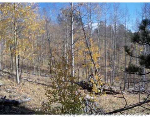 1100 Osprey Rd, Como, CO 80432 photo 6