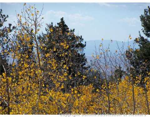 1100 Osprey Rd, Como, CO 80432 photo 5