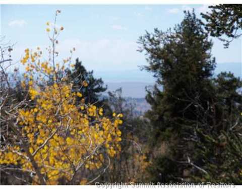 1100 Osprey Rd, Como, CO 80432 photo 4