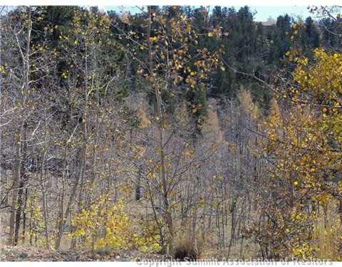 1100 Osprey Rd, Como, CO 80432 photo 2