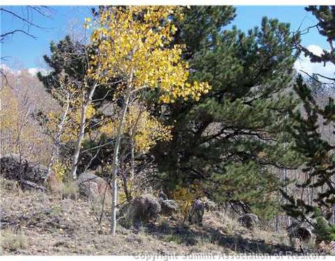 1100 Osprey Rd, Como, CO 80432 photo 3