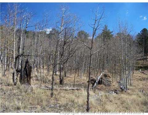 179 Sanderling Ct, Como, CO 80432 photo 2