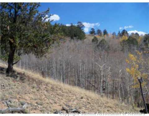 179 Sanderling Ct, Como, CO 80432 photo 5