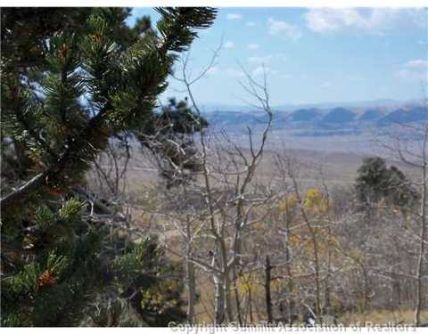 179 Sanderling Ct, Como, CO 80432 photo 3