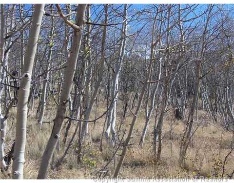 179 Sanderling Ct, Como, CO 80432 photo 1