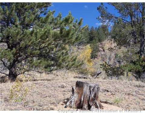 179 Sanderling Ct, Como, CO 80432 photo 4