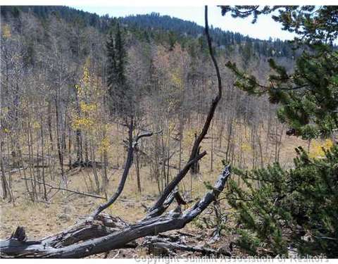 179 Sanderling Ct, Como, CO 80432 photo 6