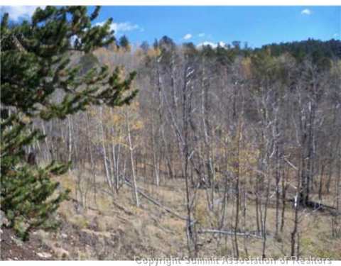 179 Sanderling Ct, Como, CO 80432 photo 8