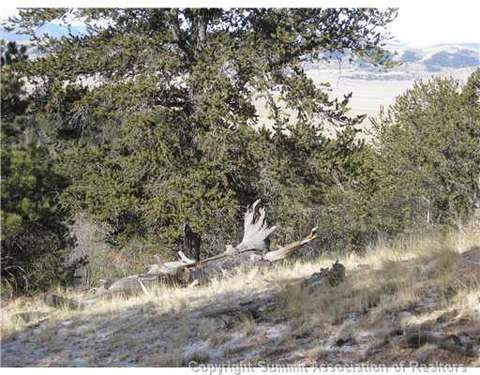 239 Raven Way, Como, CO 80432 photo 8
