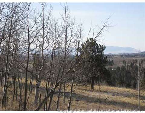 239 Raven Way, Como, CO 80432 photo 2