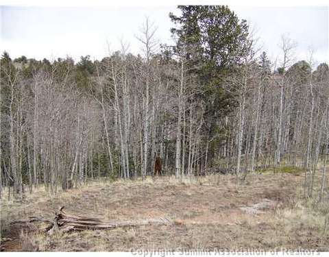 67 Starling Way, Como, CO 80432 photo 5