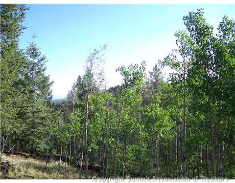 67 Starling Way, Como, CO 80432 photo 12