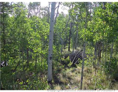 67 Starling Way, Como, CO 80432 photo 9