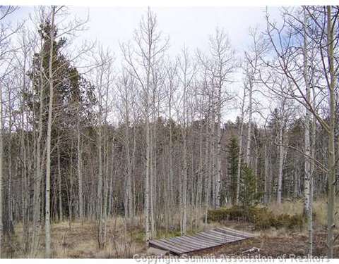 67 Starling Way, Como, CO 80432 photo 6