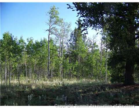 67 Starling Way, Como, CO 80432 photo 8