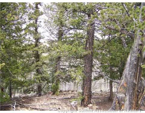 67 Starling Way, Como, CO 80432 photo 4