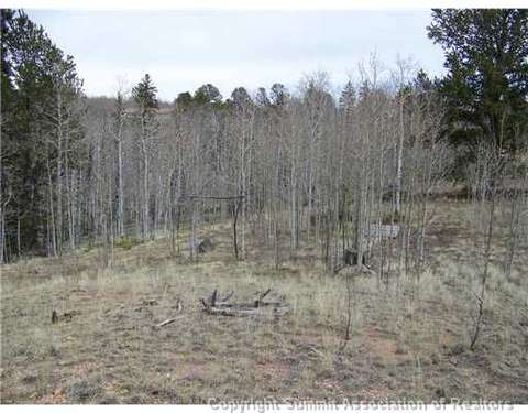 67 Starling Way, Como, CO 80432 photo 2
