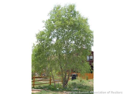 1151 Rainbow Dr, Silverthorne, CO 80498 photo 24