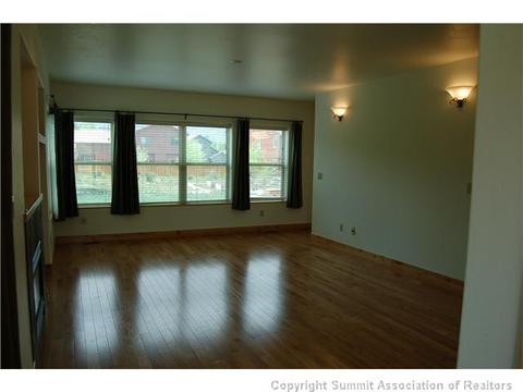 1151 Rainbow Dr, Silverthorne, CO 80498 photo 6