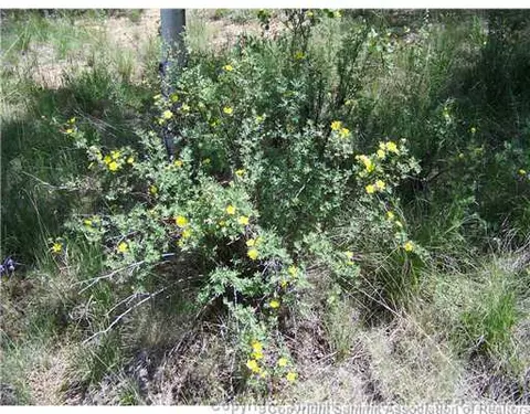 1037 Haida Rd, Como, CO 80432 photo 11