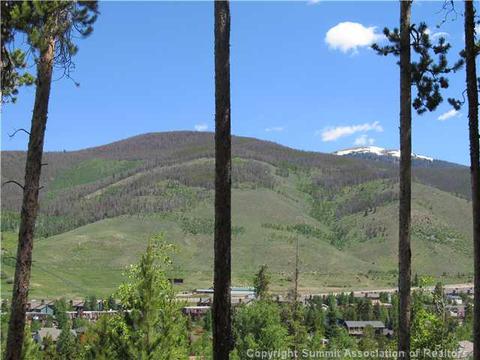 378 Deer Path Rd, Dillon, CO 80435 photo 5