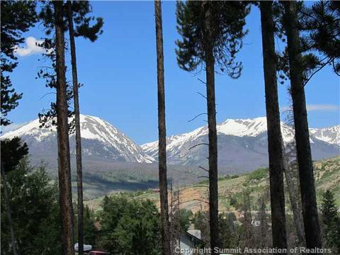 378 Deer Path Rd, Dillon, CO 80435 photo 2