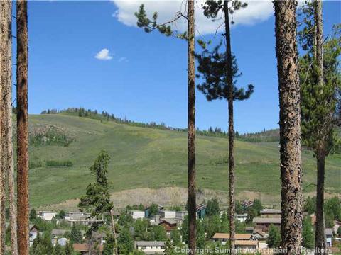 378 Deer Path Rd, Dillon, CO 80435 photo 4