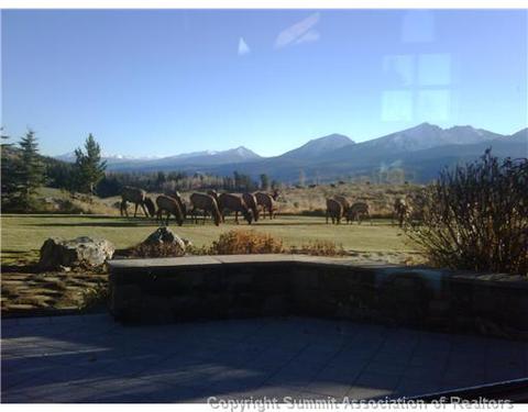 1996 Rodeo Dr, Silverthorne, CO 80498 photo 10