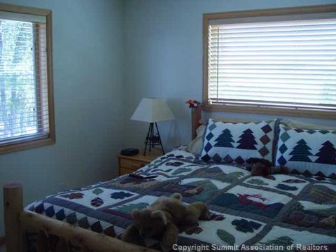 3997 Middle Frk, Fairplay, CO 80440 photo 5