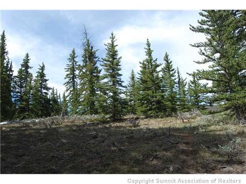 18 Legend Cir, Dillon, CO 80435 photo 1