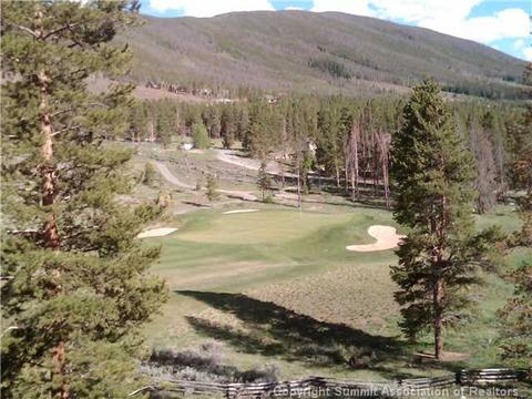462 Idlewild Dr, Dillon, CO 80435 photo 2