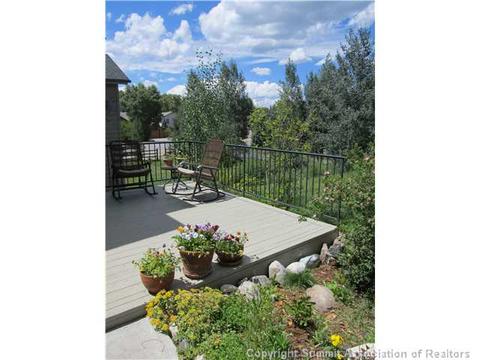 113 Janes Way, Silverthorne, CO 80498 photo 6