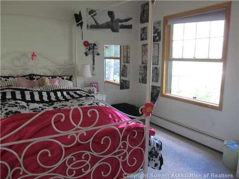 113 Janes Way, Silverthorne, CO 80498 photo 15