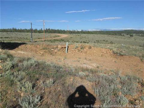 113 Haida Ln, Como, CO 80432 photo 8